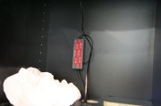 SAAA 276